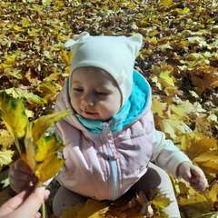 Фото отзыва 10497787