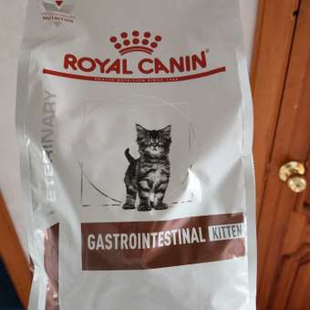 Корм для котят Royal Canin 2кг Gastrointestinal Kitten при нарушениях пищеварения сухой: отзыв пользователя. Зоомагазин Зоозавр