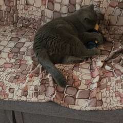 Видео отзыва 9714174