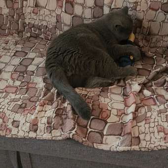 Игрушка для кошек Barbaks Окунь Кузьма с кошачьей мятой 7*21см: отзыв пользователя. Зоомагазин Зоозавр