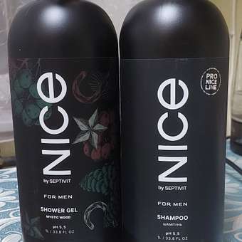 Набор средств NICE by Septivit Mystic Wood 2000 мл 1 шт.: отзыв пользователя Детский Мир