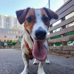 Фото отзыва 10493273