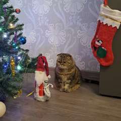 Фото отзыва 11059884