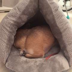 Фото отзыва 10139334