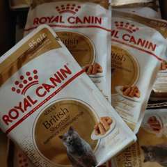 Фото отзыва 10826978