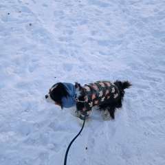 Фото отзыва 10940600