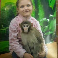 Фото отзыва 10586075