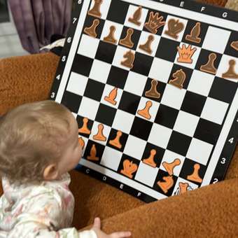 Настольная игра Sima-Land Шахматы: отзыв пользователя Детский Мир