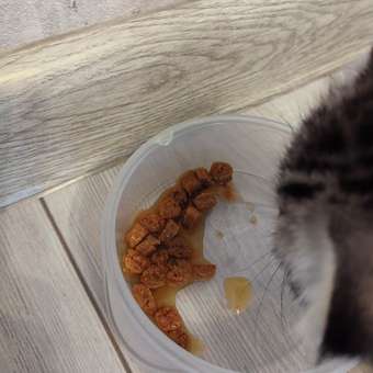 Корм для котят Pet-a-Pet 85г Кусочки с цыпленком в соусе: отзыв пользователя. Зоомагазин Зоозавр