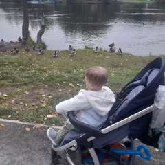 Фото отзыва 10870230