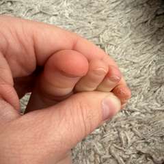 Фото отзыва 11284471