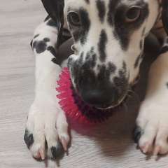 Фото отзыва 10572203