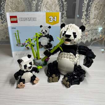 Конструктор LEGO Creator Семейство панд 626 дет.: отзыв пользователя Детский Мир