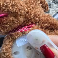 Фото отзыва 10838483