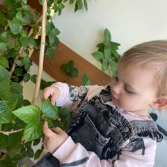 Фото отзыва 11188826