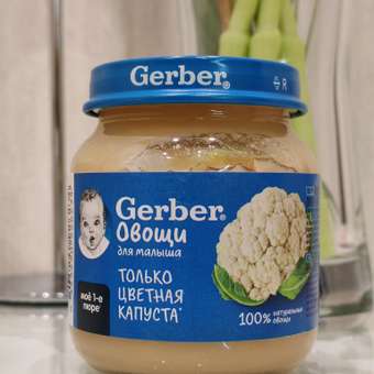 Пюре Gerber Цветная капуста с 4 мес 125 г: отзыв пользователя ДетМир