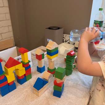 Конструктор Томик Цветной деревянный 65 дет. в ассортименте: отзыв пользователя Детский Мир