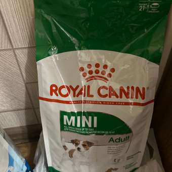 Корм для собак ROYAL CANIN мелких пород 2кг: отзыв пользователя. Зоомагазин Зоозавр