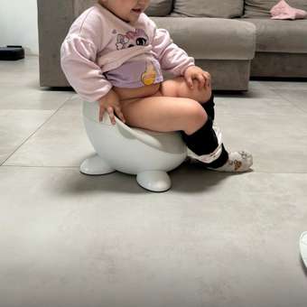 Горшок LaLa-Kids стульчик серый: отзыв пользователя Детский Мир