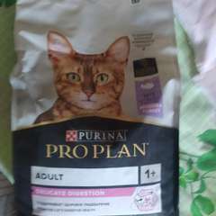 Фото отзыва 10636210