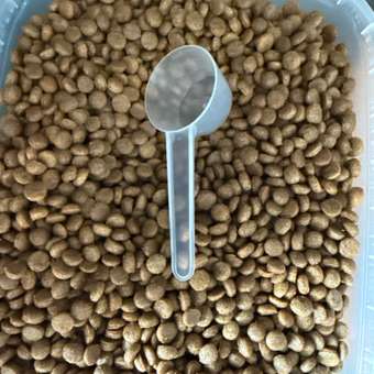 Корм для кошек Harty 1,8кг Мясное ассорти для взрослых полнорационный сухой: отзыв пользователя. Зоомагазин Зоозавр