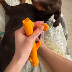 Фото отзыва 10590238