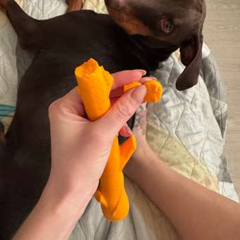 Игрушка для собак Barbaks Ветка для игры в воде не тонет 28см: отзыв пользователя. Зоомагазин Зоозавр