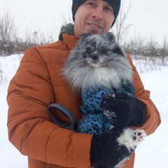 Фото отзыва 10896584