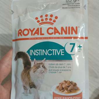 Корм для кошек ROYAL CANIN Instinctive 85г для пожилых 7+ соус пауч: отзыв пользователя. Зоомагазин Зоозавр