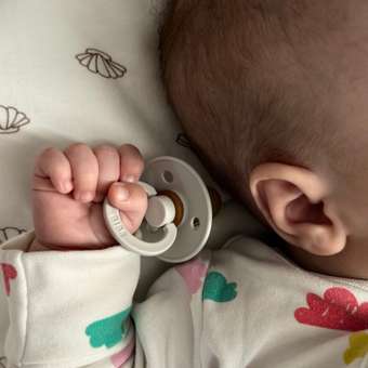 Пустышка BIBS латекс классическая от 0 мес.: отзыв пользователя Детский Мир
