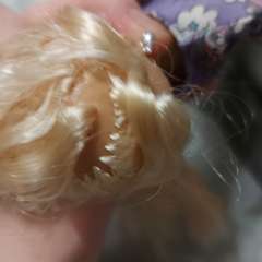 Фото отзыва 11029163