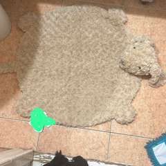 Фото отзыва 8788666