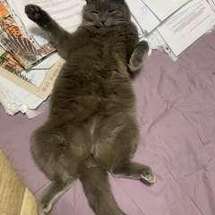 Фото отзыва 10667115