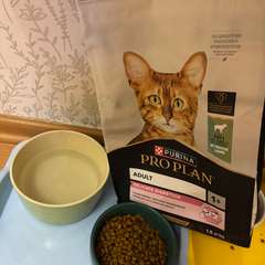 Фото отзыва 11013590