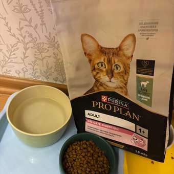 Корм сухой для кошек PRO PLAN DELICATE DIGESTION 1.5 кг с ягненком: отзыв пользователя. Зоомагазин Зоозавр