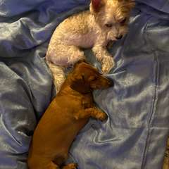 Фото отзыва 10969788