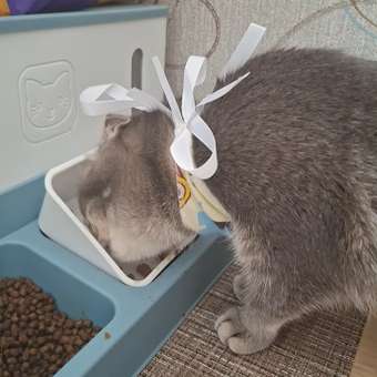 Корм для котят Pet-a-Pet 85г Кусочки с цыпленком в соусе пауч: отзыв пользователя. Зоомагазин Зоозавр