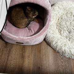 Фото отзыва 8255751