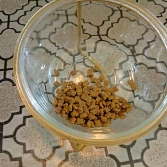 Корм сухой для котят ROYAL CANIN Mother and Babycat 2кг: отзыв пользователя. Зоомагазин Зоозавр