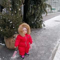 Фото отзыва 8486015