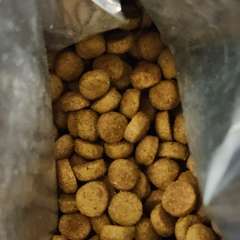 Фото отзыва 10813338