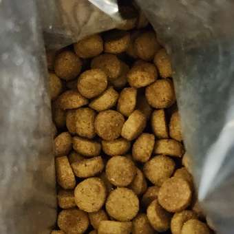 Корм для кошек ROYAL CANIN Gastrointestinal Moderate Calorie при расстройствах пищеварения 350г: отзыв пользователя. Зоомагазин Зоозавр