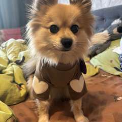 Фото отзыва 11163717