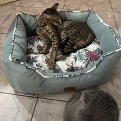 Фото отзыва 11042915