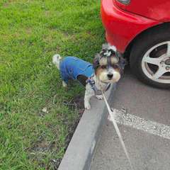 Фото отзыва 10319695