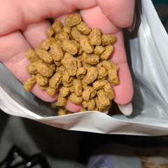 Фото отзыва 10638146