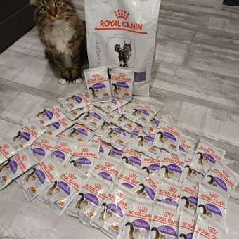 Корм для кошек ROYAL CANIN Neutered Satiety Balance стерилизованных 3.5кг: отзыв пользователя. Зоомагазин Зоозавр