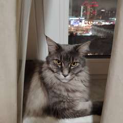 Фото отзыва 10979219