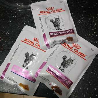 Корм для кошек ROYAL CANIN Renal with chicken для поддержания функции почек 85г: отзыв пользователя. Зоомагазин Зоозавр