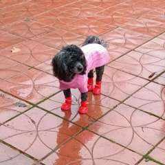 Фото отзыва 10867548